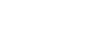 Peintbols Valmiera